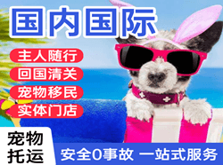 阿拉善机场货运国际宠物托运 【国